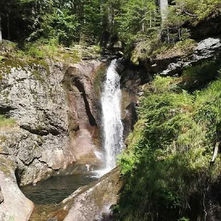 Ferienland Sonnenwald 46