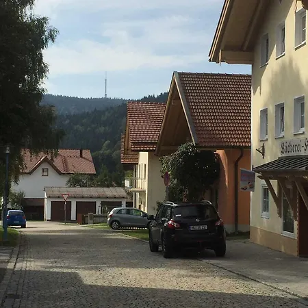 Ferienland Sonnenwald 46 Apartment *