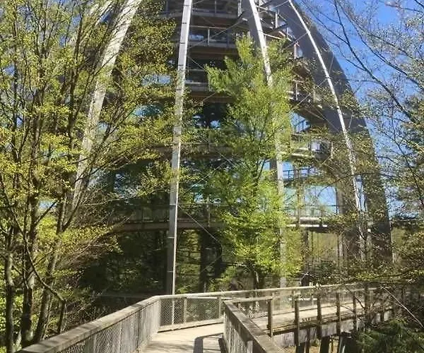 Ferienland Sonnenwald 46 Appartement Langfurth